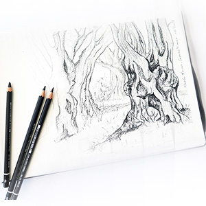 dessin d'arbre